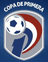 Division Profesional - Clausura logo
