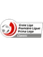 1. Liga Classic - Group 3 logo