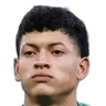 É. Ricardo