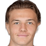 K. Muharemovic