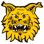Ilves W badge
