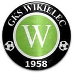 Wikielec badge