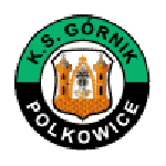 Górnik Polkowice badge