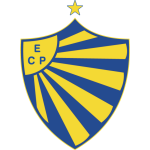 Pelotas badge