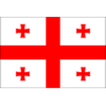 Georgia badge