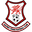 Saltney Town badge