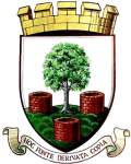 Wells City badge