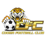Cooma Tigers FC badge