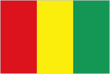 Guinea badge
