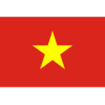 Vietnam badge