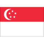 Singapore badge