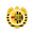 Xewkija Tigers