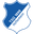 Hoffenheim badge