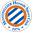 Montpellier badge