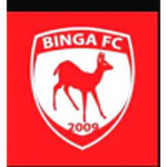 Binga badge