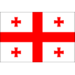 Georgia U17 badge