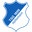 1899 Hoffenheim W badge