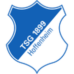 1899 Hoffenheim W W badge