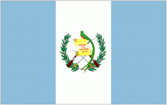 Guatemala W U17 W badge