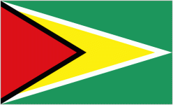 Guyana W U17 W badge