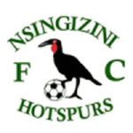 Nsingizini Hotspurs badge