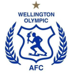 Wellington Olympic badge