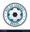 Rio de Janeiro badge