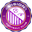 Vision badge
