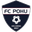 POHU / CJ United badge