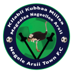 Negelle Arsi badge