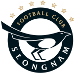 Seongnam badge