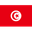 Tunisia badge
