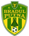 Bradul Putna badge