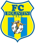 Bolintin Vale badge