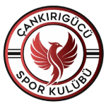 Cankirigucu badge