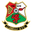 llanelli AFC badge