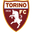 Torino badge