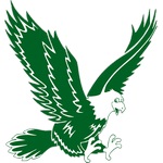 Green Eagles badge