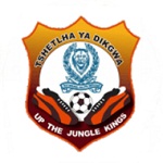 Police XI badge