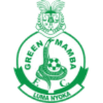 Green Mamba badge
