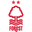 Nottingham Forest badge