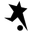 Black Stars badge