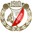 Widzew Łódź badge