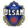 Ulsan Citizen badge