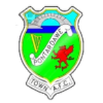 Pontardawe Town badge