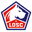 Lille badge
