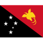 Papua New Guinea badge