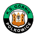 Górnik Polkowice badge