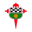 Racing Ferrol