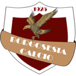 Borgosesia badge